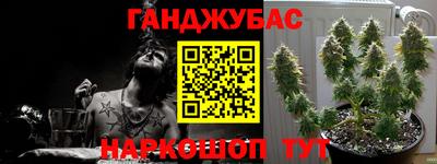 PSILOCYBIN Кунгур