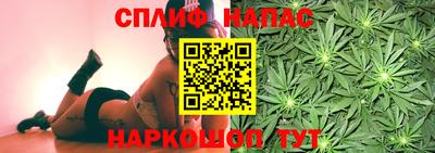 PSILOCYBIN Кунгур