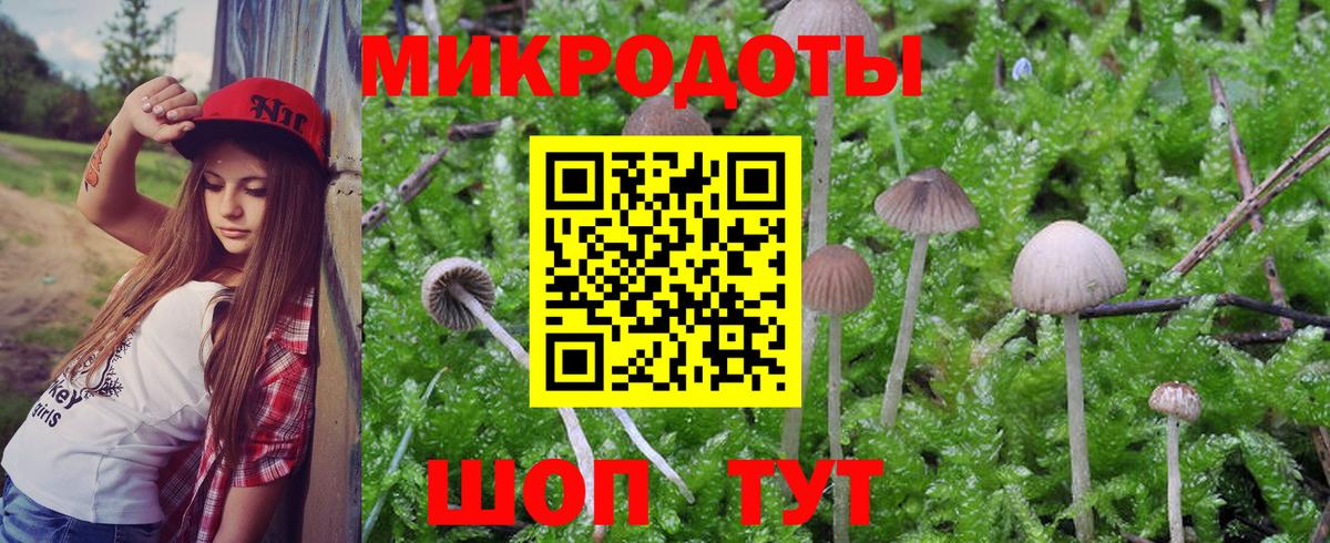 Галлюциногенные грибы ЛСД  Галлюциногенные грибы прущие грибы  Вход с VPN  Шадринск 